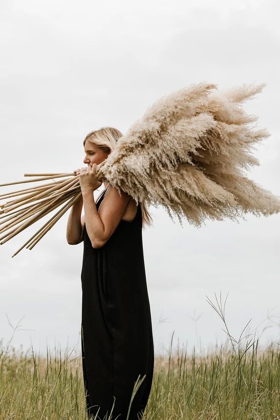 Large 4 FT Natural Fluffy Pampas Grass | Etsy (US)