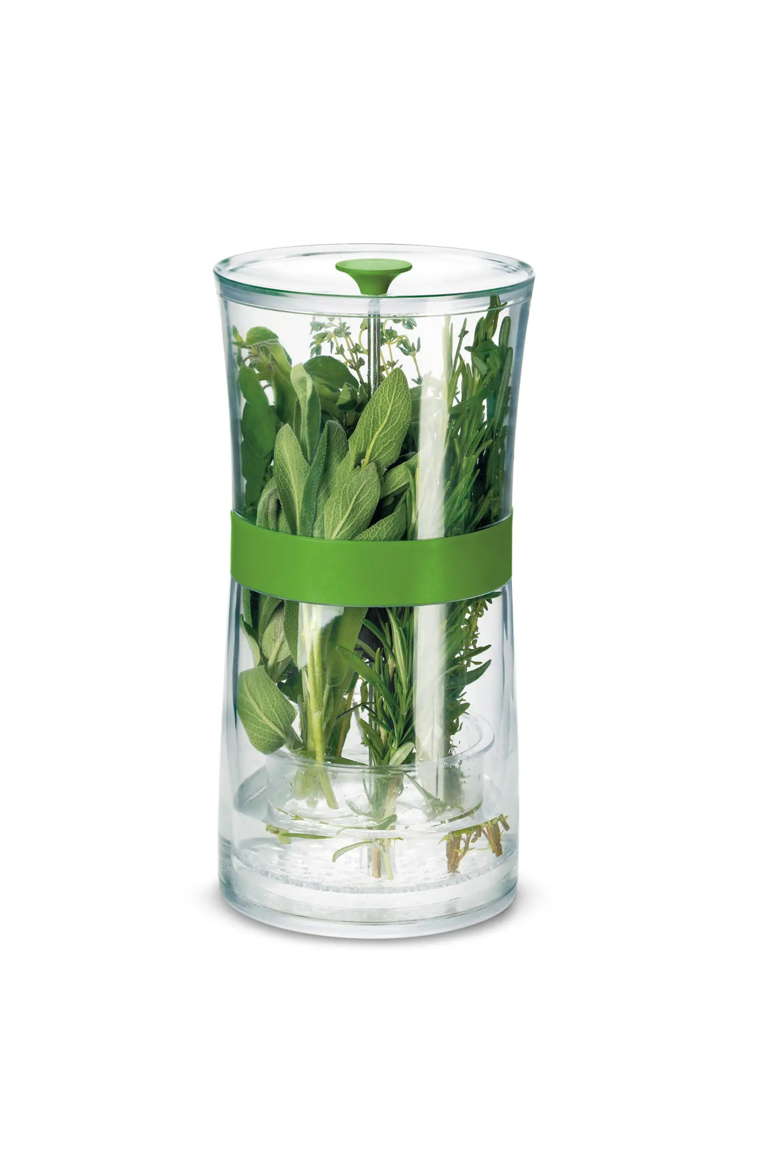 Original Herb Keeper Keeps Herbs Fresh Storage Container | Nordstrom