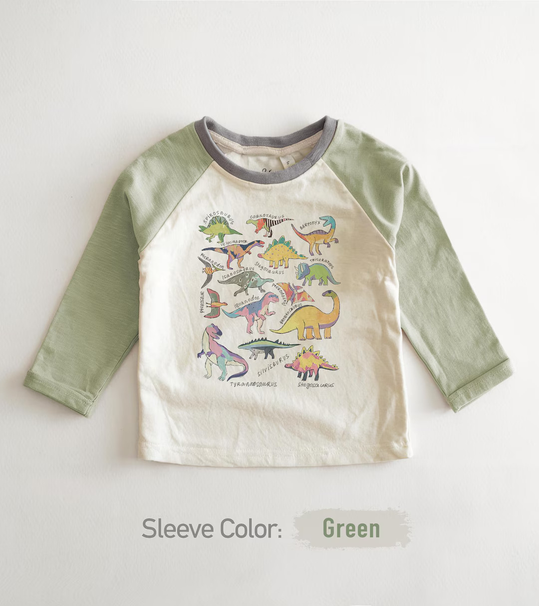Dinosaurs Toddler Shirt Trendy Dinosaur Kids Shirt Types of Dinosaurs Shirt Cute Retro Natural To... | Etsy (US)
