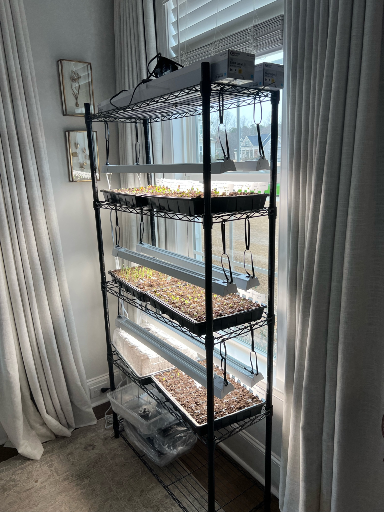 Seed starting lights and shelving units! Whenever you purchase lights, make sure they are the same width as your shelves!