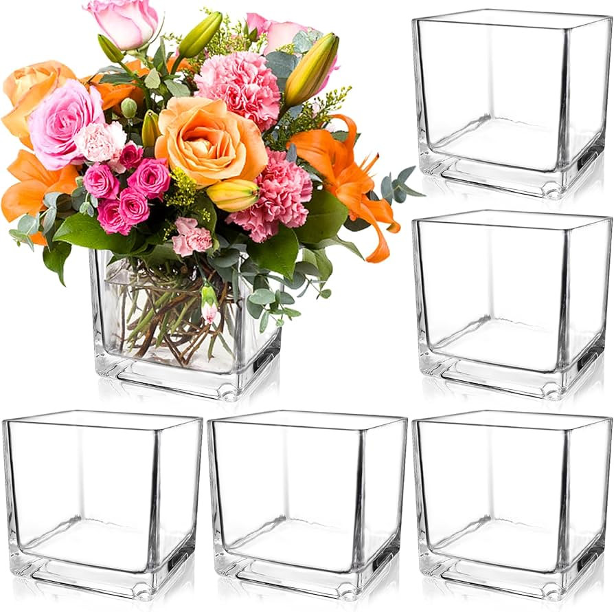 6 Pack Square Glass Vases 5 x 5 x 5 Inch, Clear Cube Flower Vases for Centerpieces, Candle Holder... | Amazon (US)