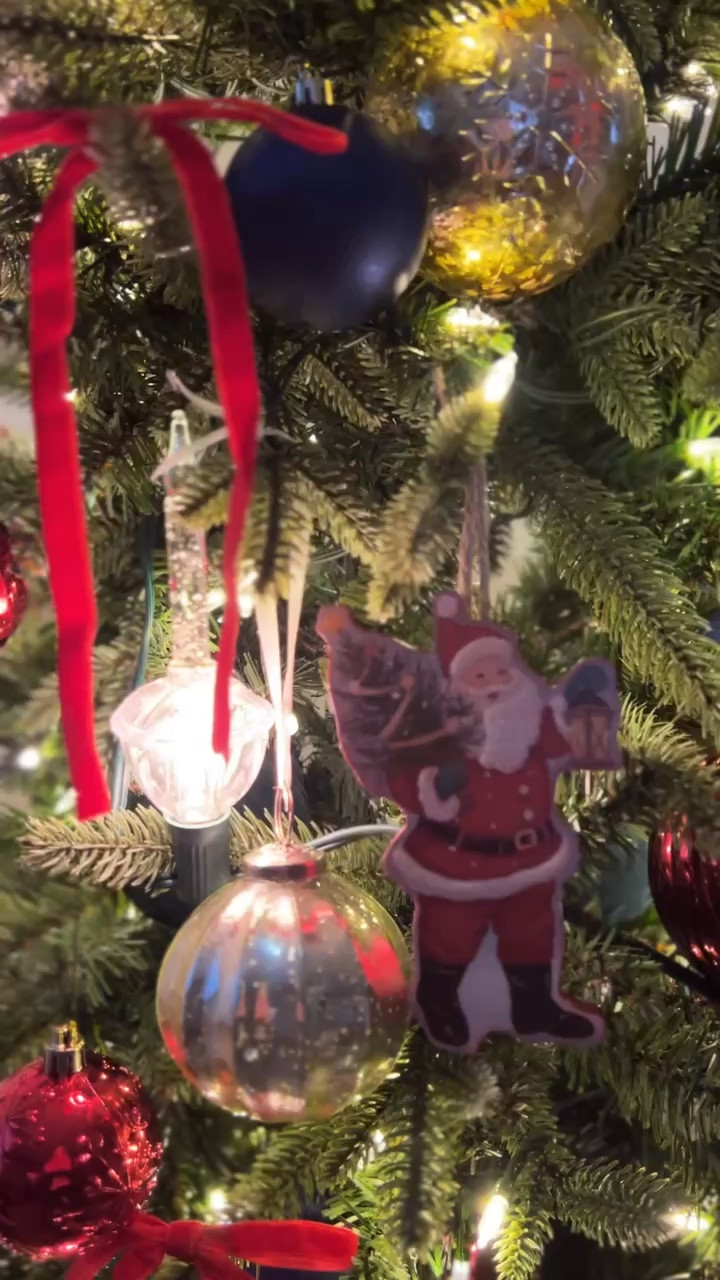 this christmas may look and feel a bit different than our others, but it is still sweet. 



#LTKfindsunder50 #LTKhome