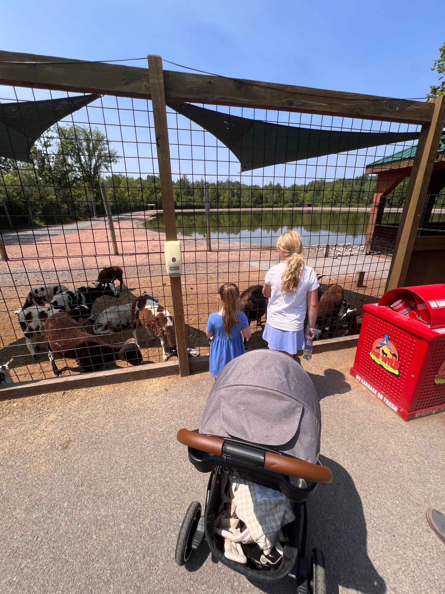 I love this stroller! Graco Stan forever 🫶🏼 

#LTKFamily #LTKKids #LTKBaby