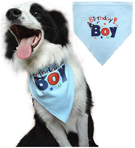 Dog Birthday Bandana Pet Scarf Blue | Amazon (US)