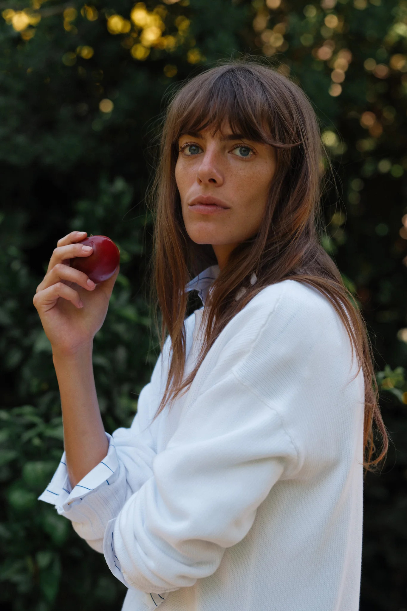 The Cotton Knit Crewneck | DONNI.