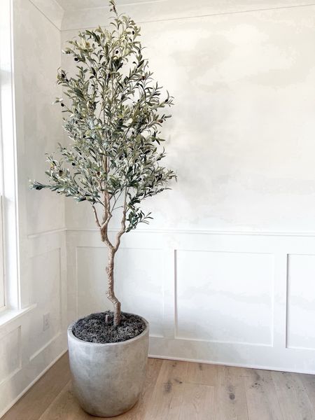 My olive tree is back in stock! 

This is the 8ft size 

Olive tree, concrete planter, home decor, Amazon home



#LTKhome #LTKSeasonal #LTKfindsunder100