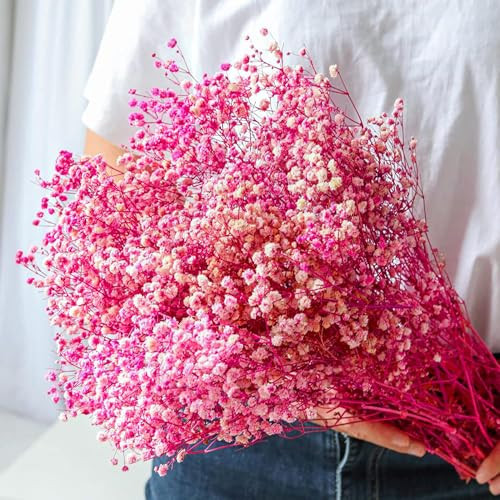 beerfingo Dried-Babys-Breath-Bouquet-17.2 inch Dried Flowers, Natural Gypsophila Branches for Home Decor, Wedding, Table Decor, DIY Wreath Floral, Dry Flowers Bulk for Vase (Pink) | Amazon (US)