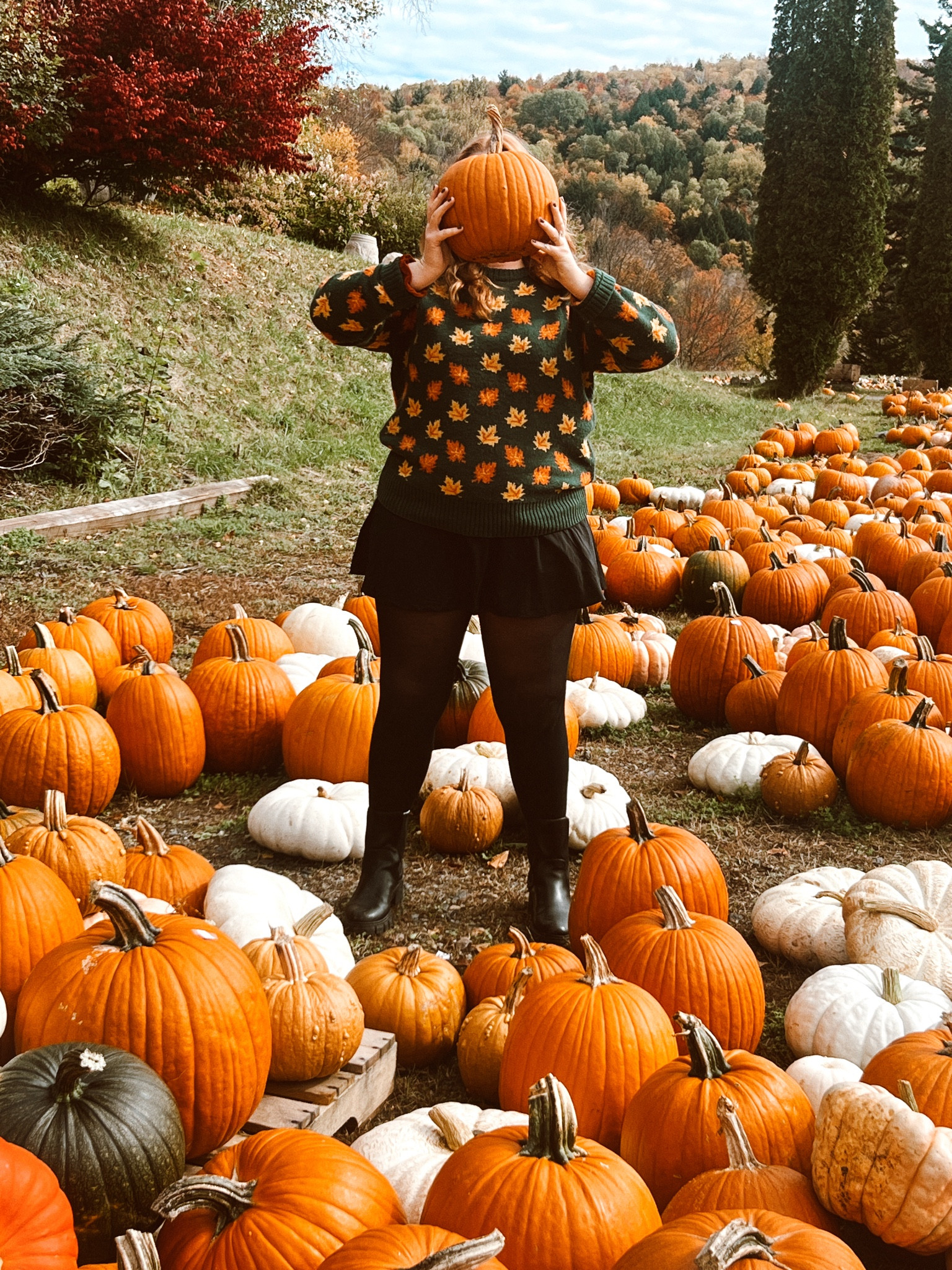 Pumpkin patch outfits wearing a leaf sweater & skort for fall! #leaf #sweater #kjp #amazon #fall #autumn #curvy #size14

#LTKMidsize #LTKTravel #LTKSeasonal