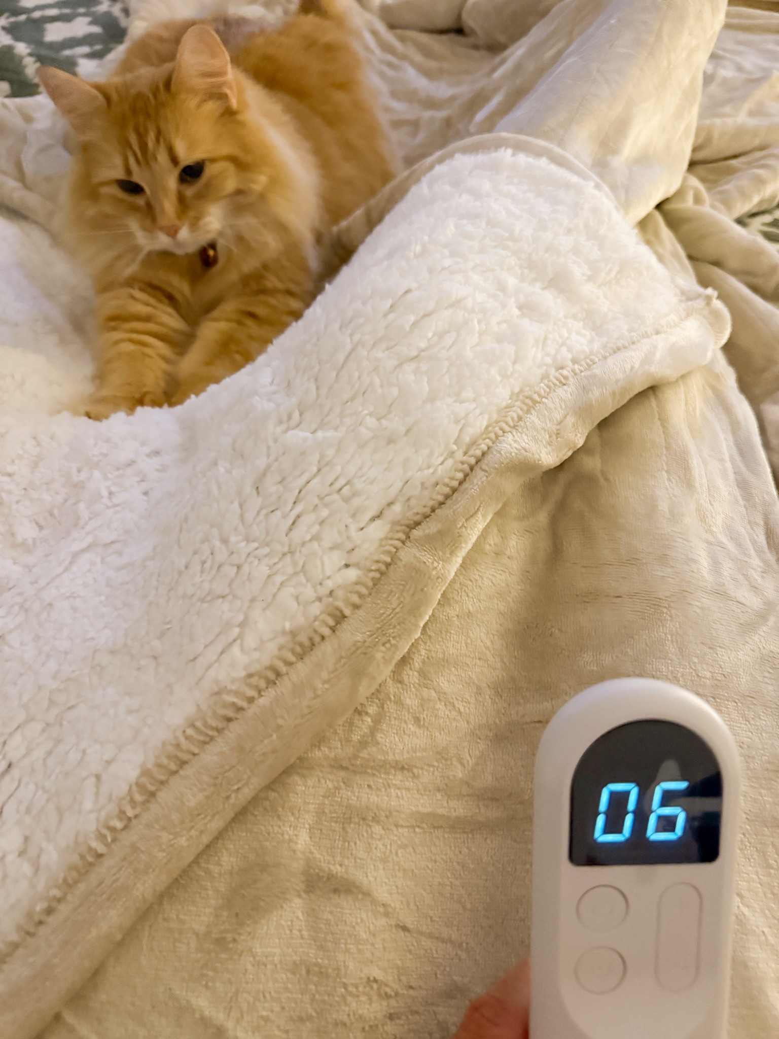 Me f my favorite cold weather necessities! A heated throw is a great gift for anyone on your list! Amazon find! 

#LTKHoliday #LTKFindsUnder50 #LTKGiftGuide