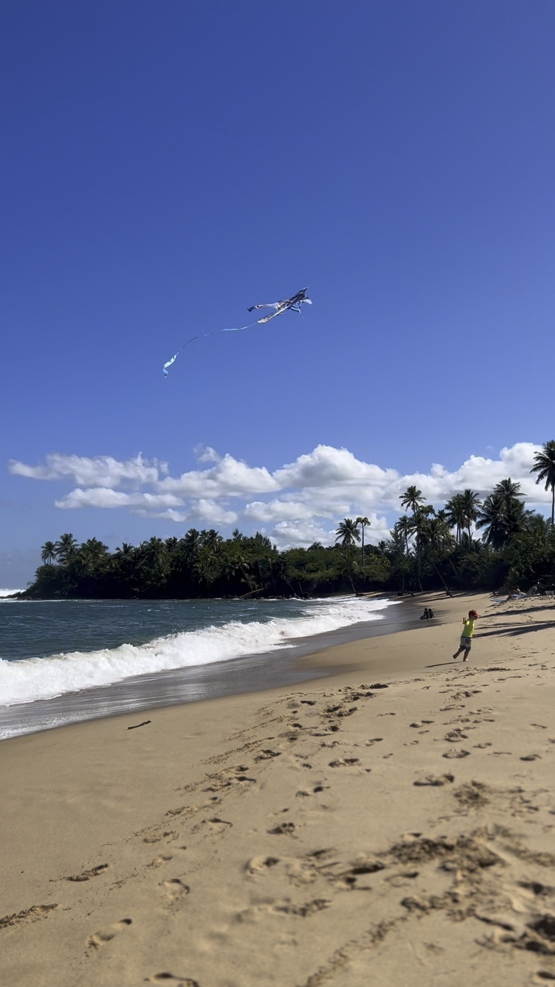 The perfect kite to fly on the beach! Under $15 and easy to pack in a suitcase. 



#LTKKids #LTKFamily #LTKTravel