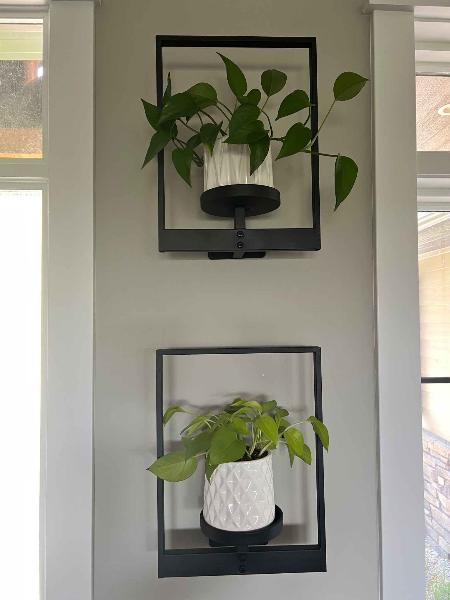 Plant art. These plants walk mounts are so cute. 

#plant #plantdecor #decor #walldecor

#LTKHome