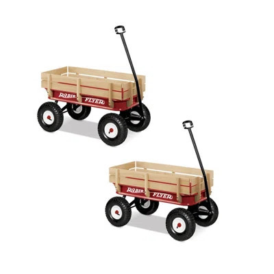 Radio Flyer 1 Seater Push/Pull Ride On Toy | Wayfair North America