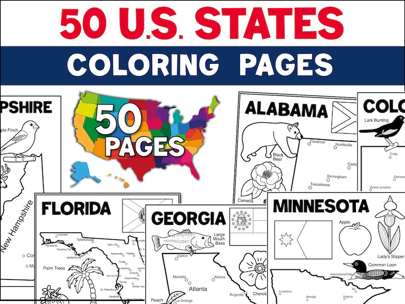 50 USA States Coloring Pages, US State Symbols and Flags, School & Homeschool Geography Coloring ... | Etsy (US)