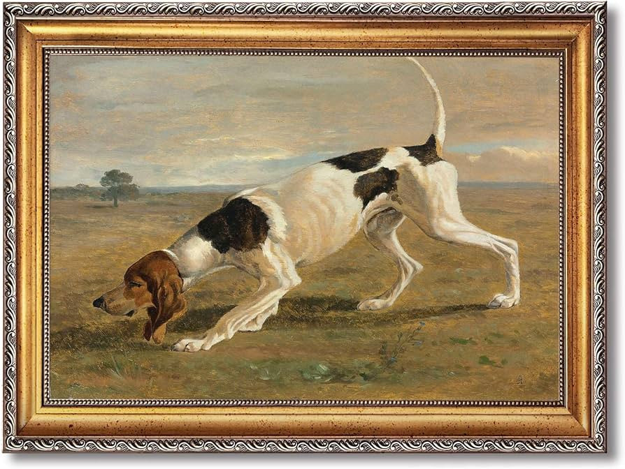 Brand: Generic | Amazon (US)