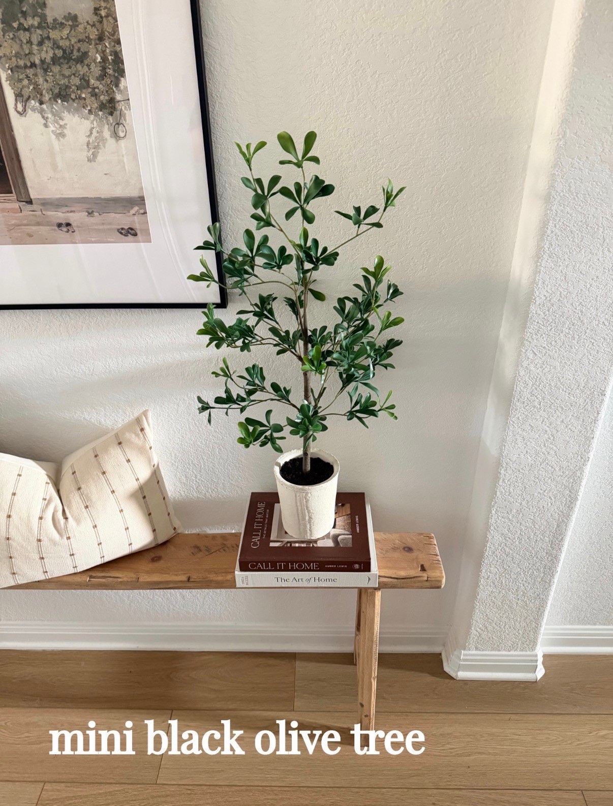 New Mini Black Olive Tree 🌿 just picked this beauty up at Target!

Love the rustic pot it comes in too!

Target Home, Target style, faux plant, olive tree, entryway decor, hearth and hand with magnolia 

#LTKHome #LTKdayinmylife #LTKSeasonal