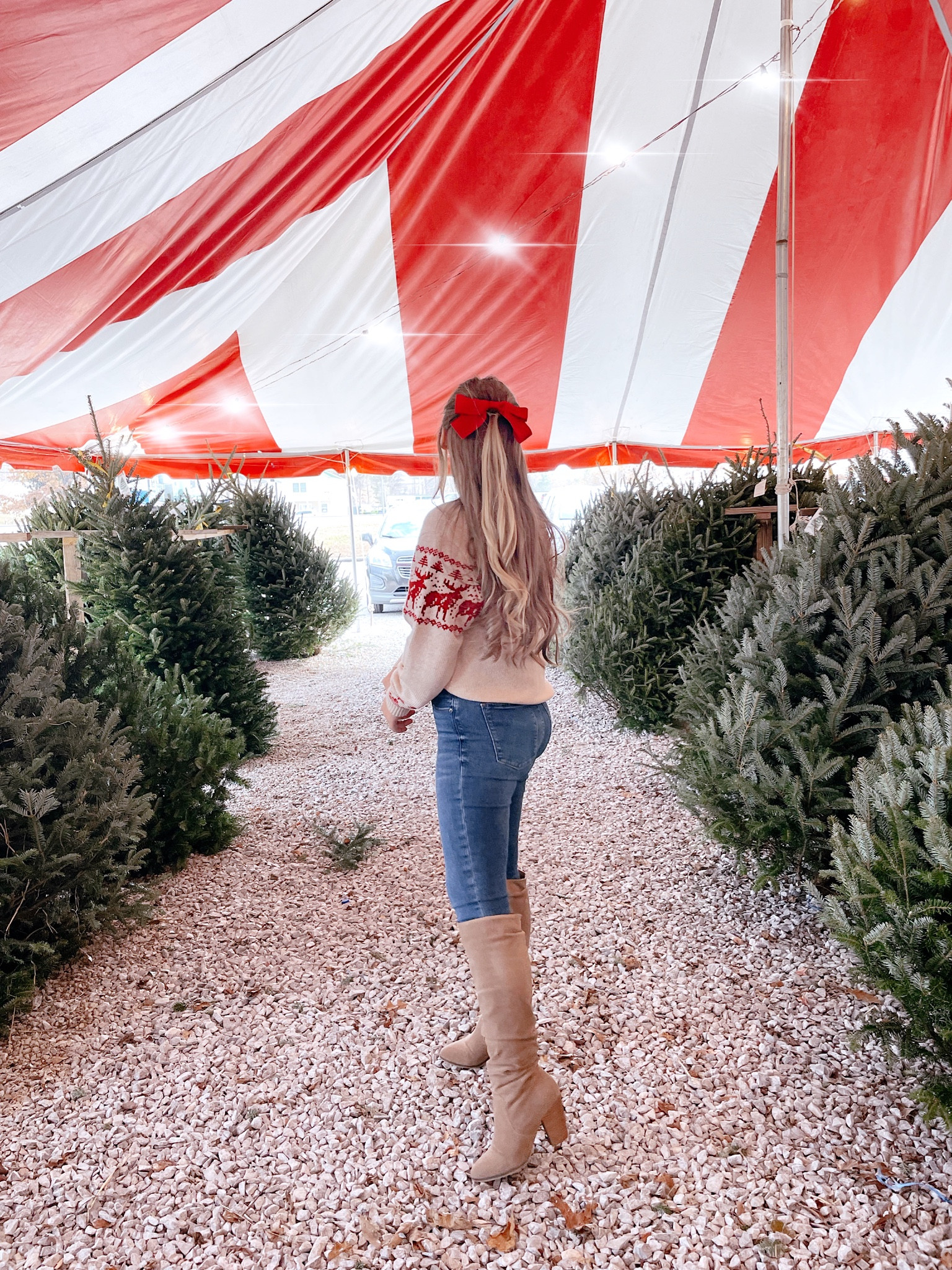 Picking out our tree! 🌲❤️ Wore my favorite Christmas sweater for the occasion. Wearing a small! 

#LTKfamily #LTKSeasonal #LTKHoliday