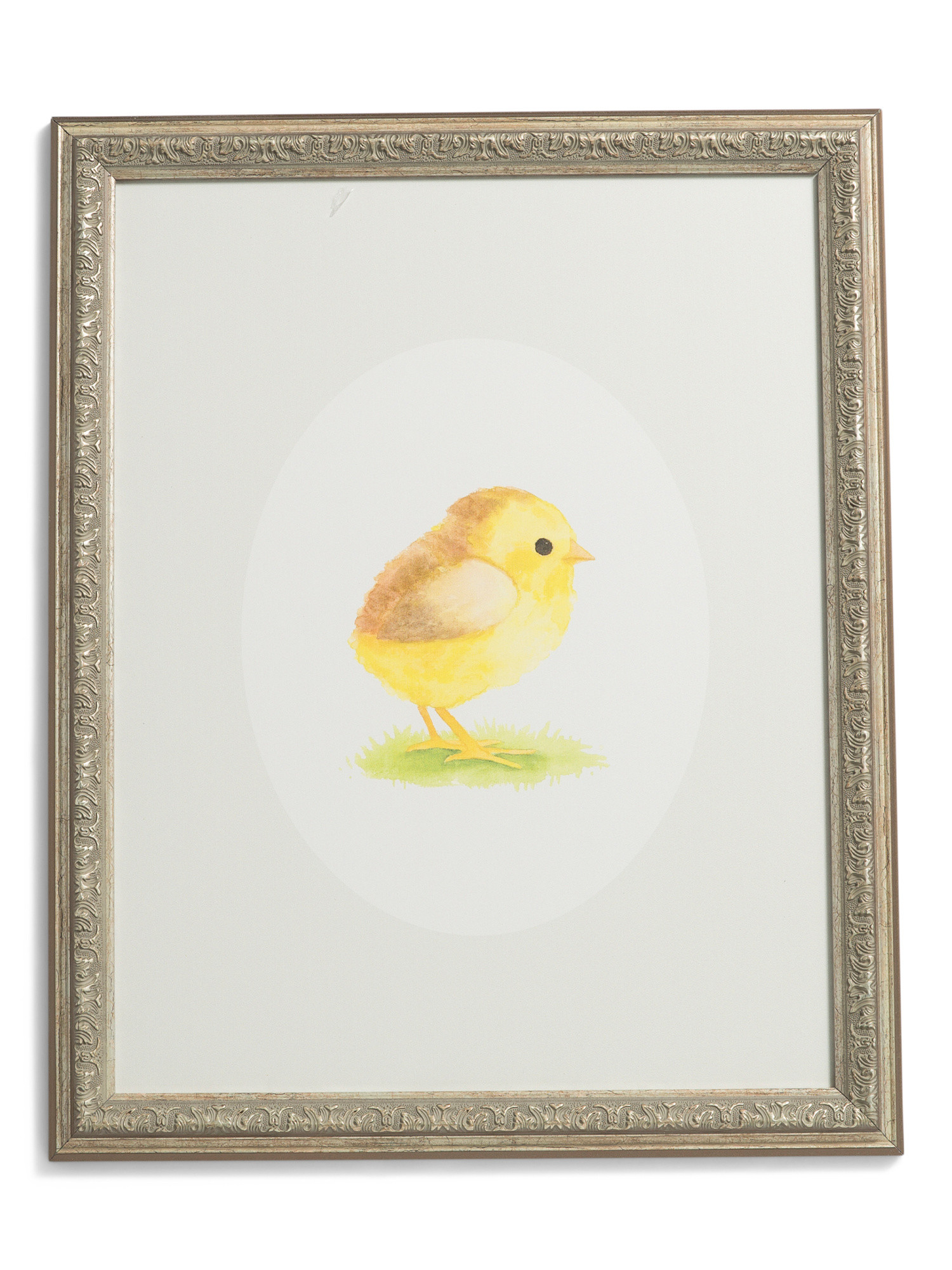 16x20 Oval Chick Wall Art | TJ Maxx
