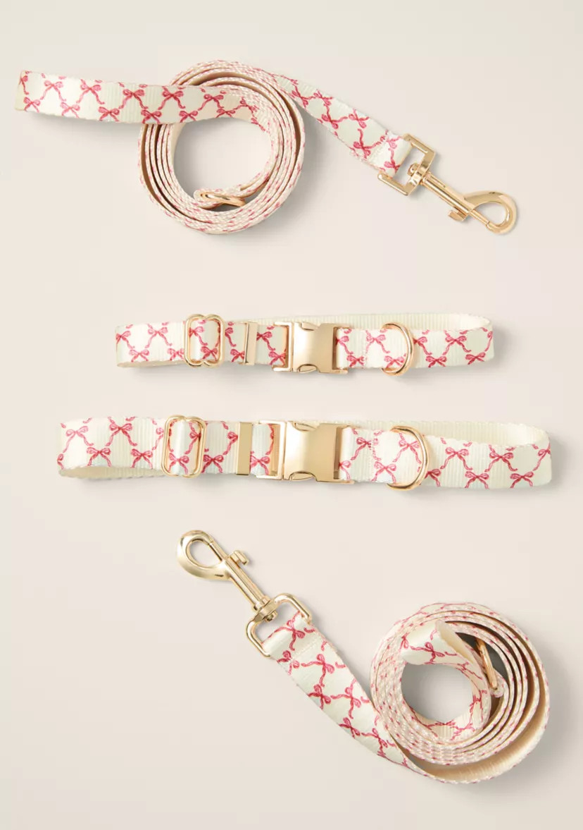 Sewing Down South x Crown & Ivy™ Sew Fetch Collar and Leash Set | Belk
