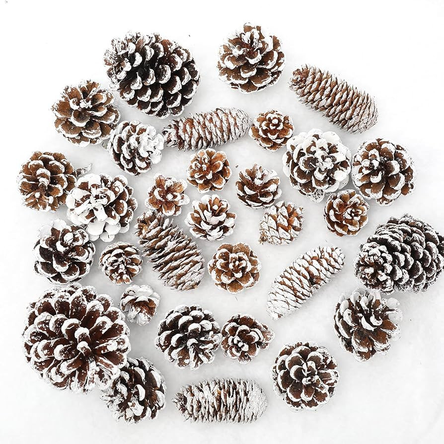 Whaline 43pcs Christmas Pine Cones Natural Snow Pinecones for Crafts Holiday Ornament Home Decora... | Amazon (US)