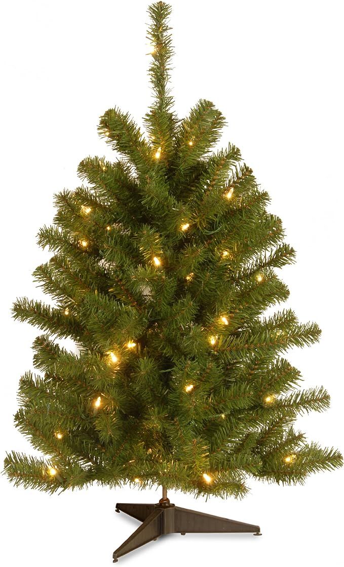 National Tree Company Company lit Artificial Mini Christmas Tree Includes Pre-Strung White Lights... | Amazon (US)