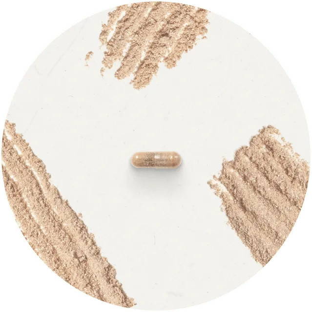 Iron with Vitamin C - Premium Supplements from Vitable | Vitable