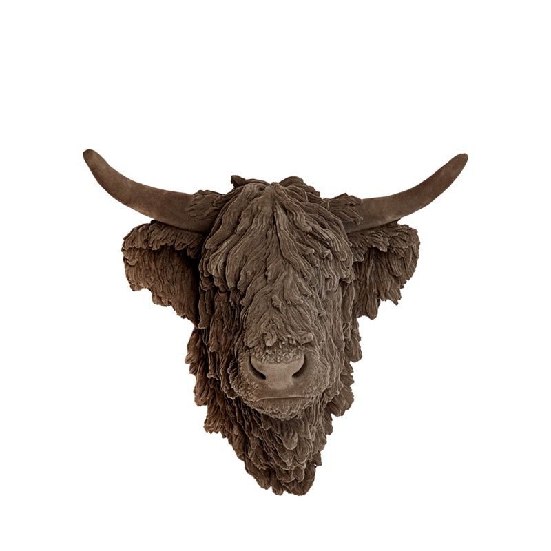 Abigail Ahern/EDITION Grey highland cow head | Debenhams UK