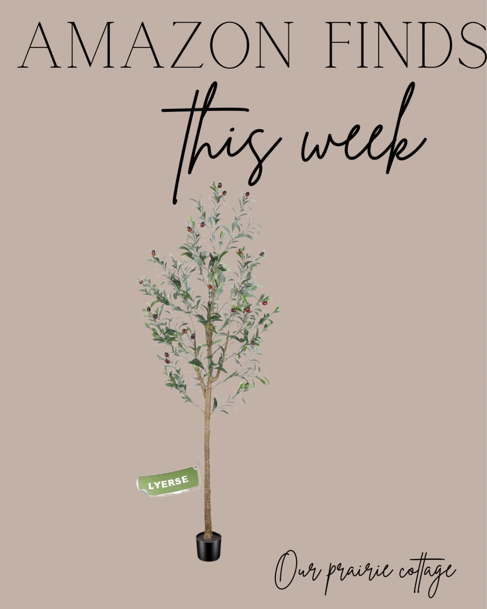 Amazon Finds 
Olive Tree 

#LTKhome