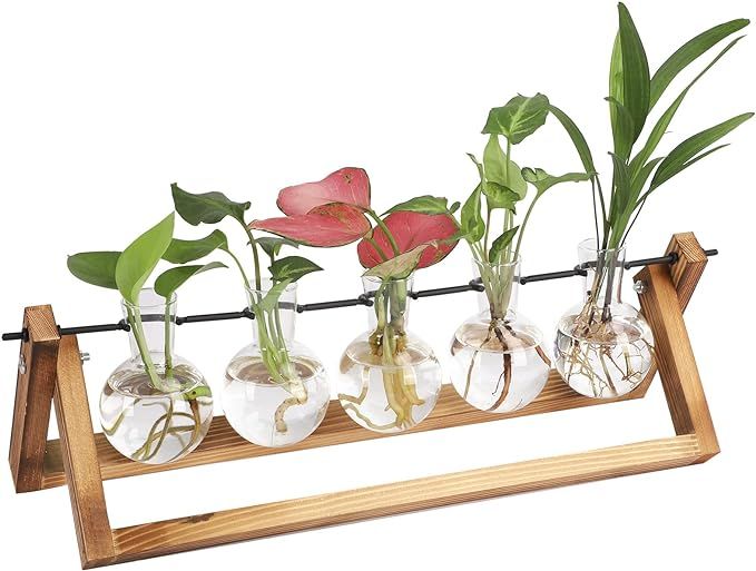 HOLICOLOR 5pcs Plant Propagation Stations with Wooden Stand, Desktop Glass Plant Terrarium Holder... | Amazon (US)