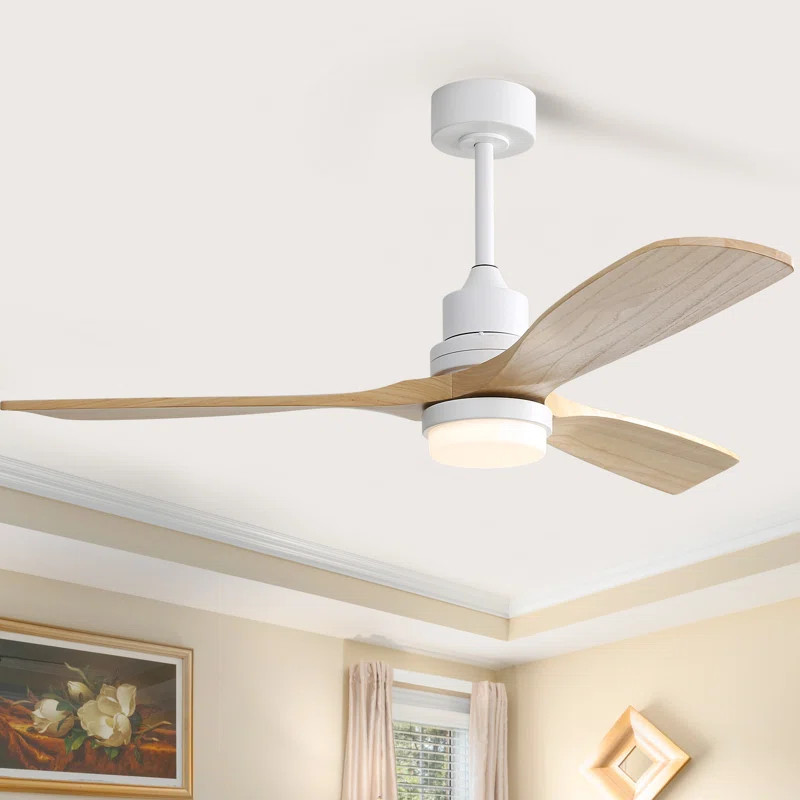 Nicola 52'' Ceiling Fan with LED Lights | Wayfair North America