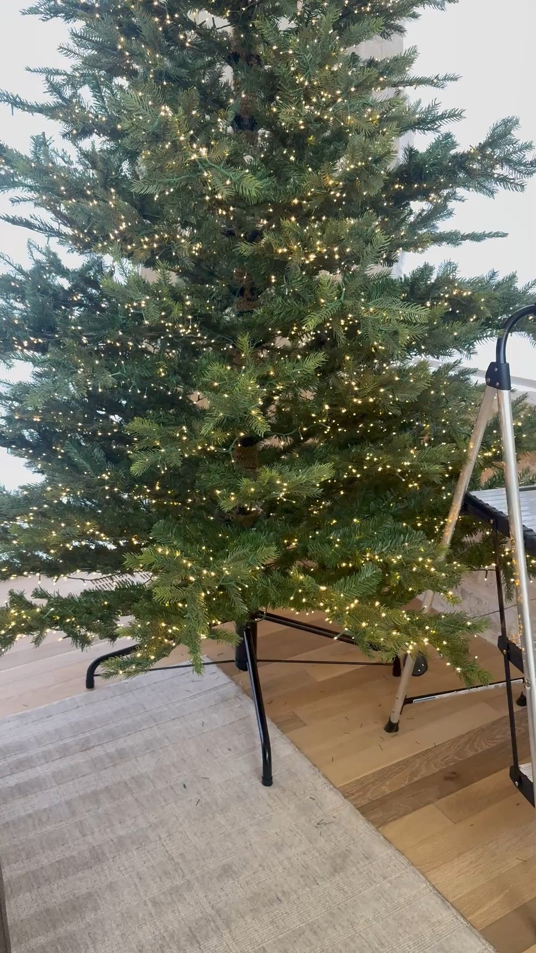 This is an investment but wow!  8,000 lights on one tree is spectacular! 

#LTKSeasonal #LTKHome #LTKHoliday