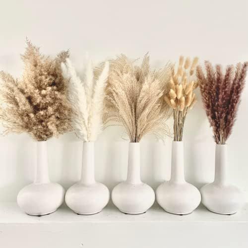 Amazon.com: OAKOA 120 PCS Dried Pampas Grass Decor - Boho Flower Arrangements - Fluffy Pompas Gra... | Amazon (US)