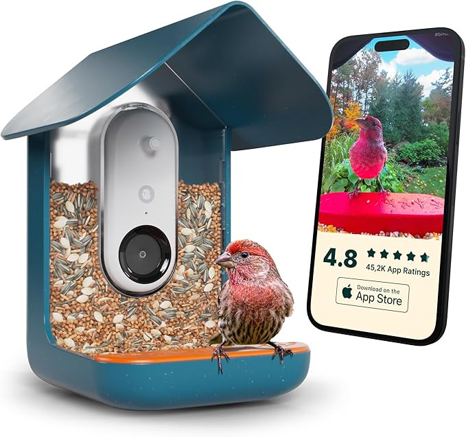 BIRD BUDDY® Original Smart Bird Feeder with Camera - AI Bird Species Identification, 5MP Photos,... | Amazon (US)