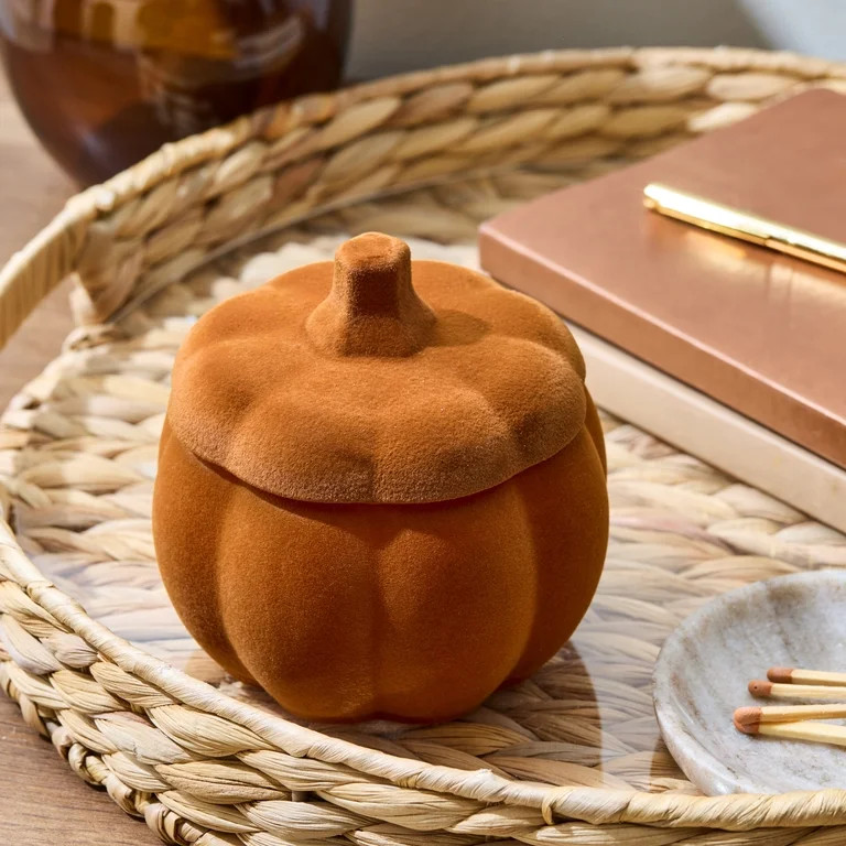 Better Homes & Gardens 2-Wick 10 oz Flocked Pumpkin Jar Candle, Farm Apple Pumpkin | Walmart (US)