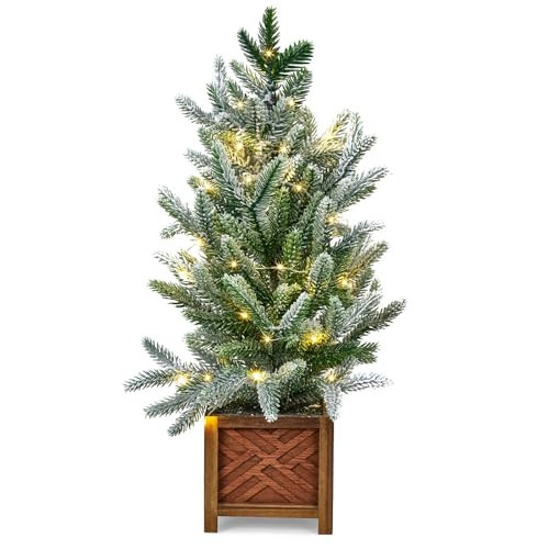 GarveeHome Small Christmas Tree with Lights, 24 Inch Prelit Artificial Mini Christmas Tree, Tabletop Snow Flocked Xmas Tree in Wood Pot for Table Centerpiece Office Dorm Desk Decorations | Amazon (US)
