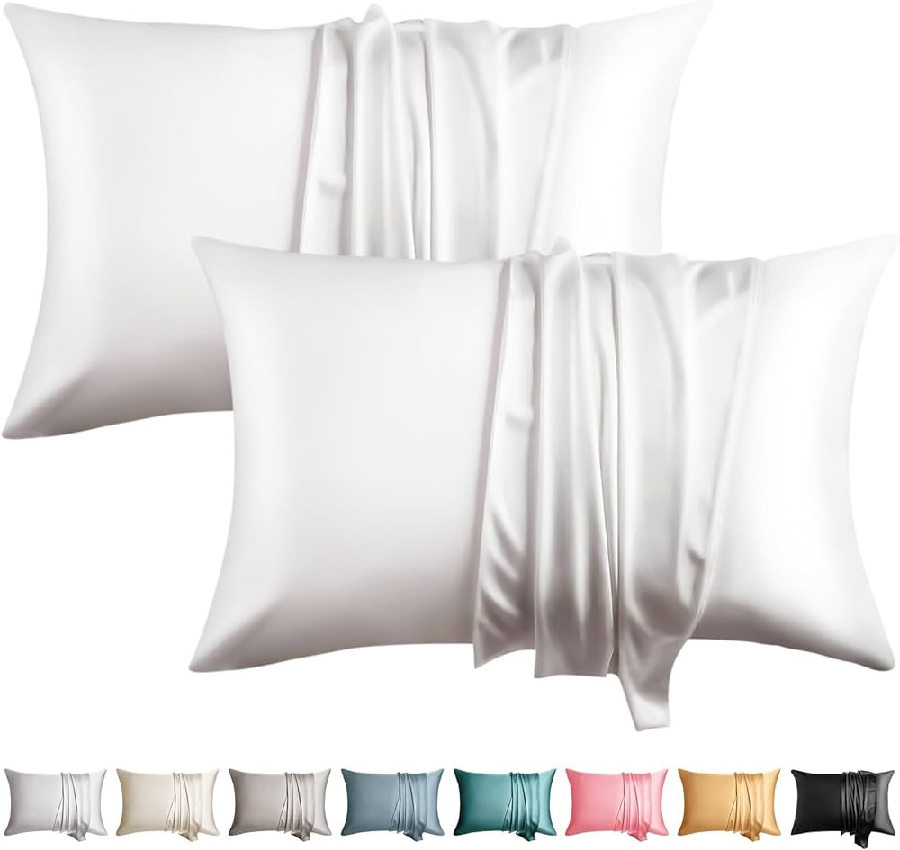 WLOSJ 100% Silk Pillowcase for Hair and Skin 2 Pack Standard Size 19 Momme Mulberry Silk Pillow C... | Amazon (US)