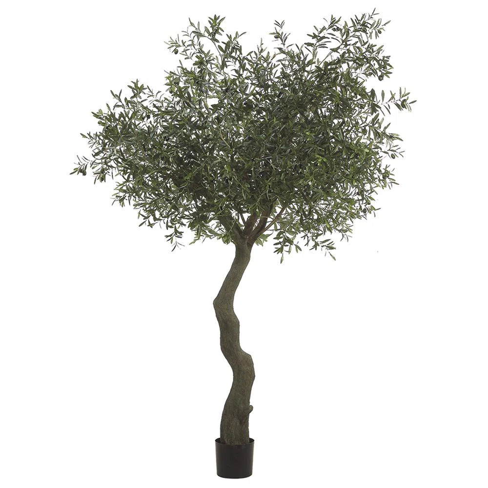 7 Foot Artificial Olive Tree | Wayfair North America