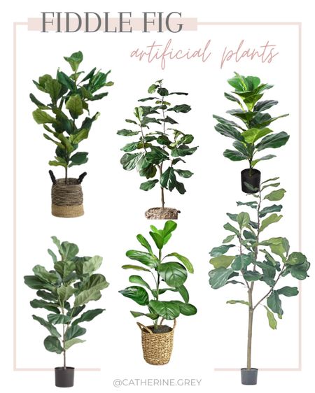 Artificial fiddle leaf fig plants 🪴 



#LTKSeasonal #LTKhome