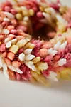Preserved Sunset Lagurus Wreath | Anthropologie (US)
