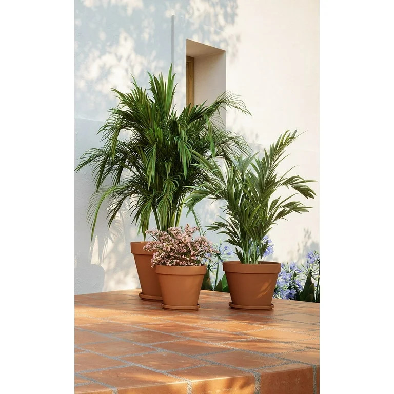 12 Inch Terracotta Clay Pot | Walmart (US)