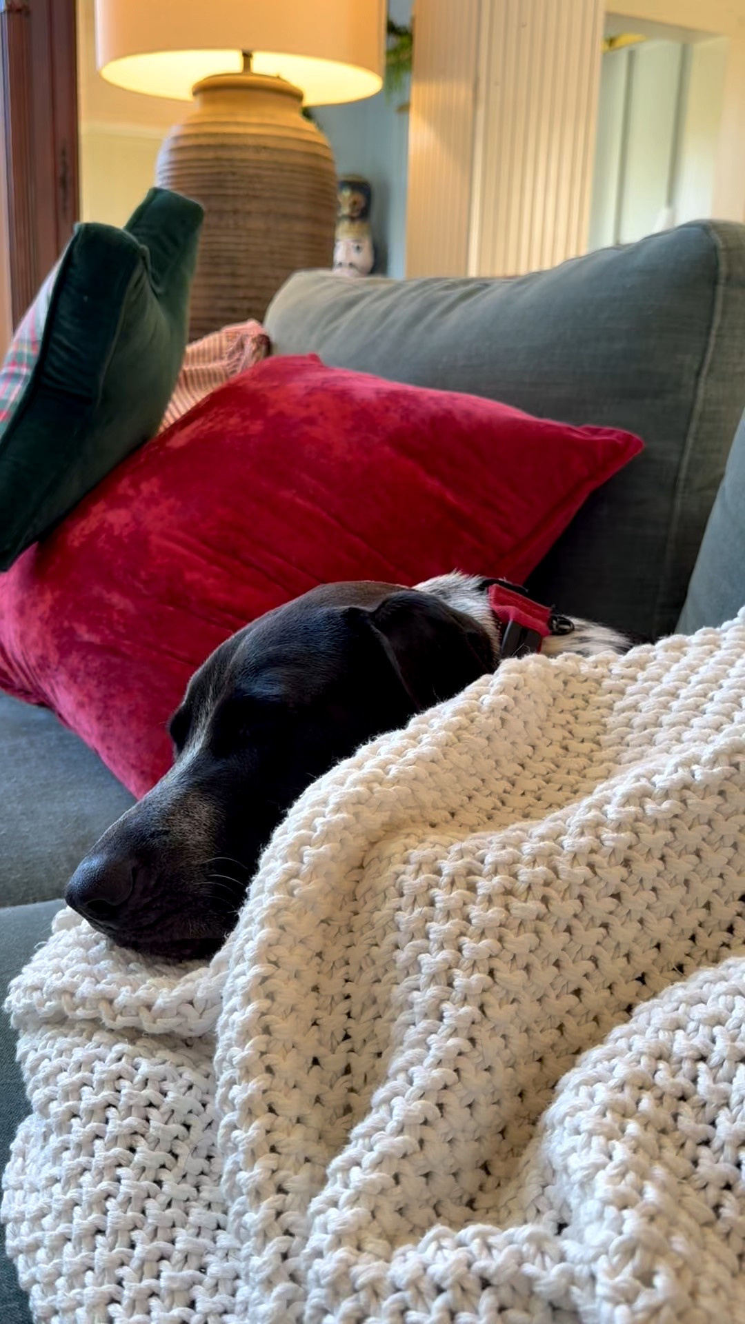 Nothing like going into a new year with fresh linens! ! recommend getting quality linens at an affordable price from @onequince #QuincePartner All of my bedsheets are from Quince. Also, the fisherman cotton throw is one of our favorites. I kept having to order more because everyone in the tamily wants one! 

#LTKSeasonal #LTKHome