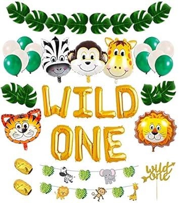 Wild One Birthday Decorations Kit: 1st Birthday Boy Decorations, 1st Birthday Decorations Boy | F... | Amazon (US)