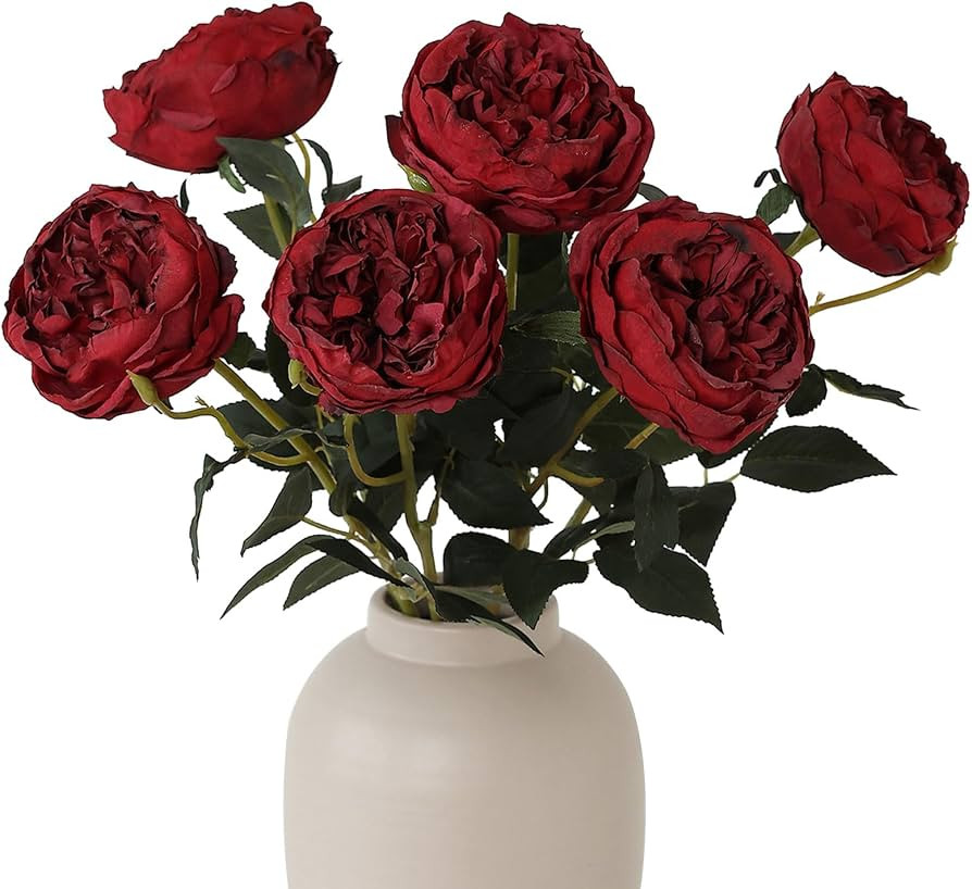 mizii 6Pcs Burnt Burgundy Artificial Roses Flowers Fake Silk Roses Flower with Long Stem for Wedd... | Amazon (US)