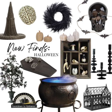 Best Halloween finds so far. Styling tip: each year add one of a kind decor to your Halloween collection. Here's a roundup of the best on the internet that you don't want to miss out on. These classics are sure to amp up the spooky factor for years to come. 

pottery barn finds, tjmaxx finds, Halloween decor, home decor, spooky decor, black, skeletons, entertaining, home decor finds, fall finds

#LTKSeasonal #LTKhome #LTKFind