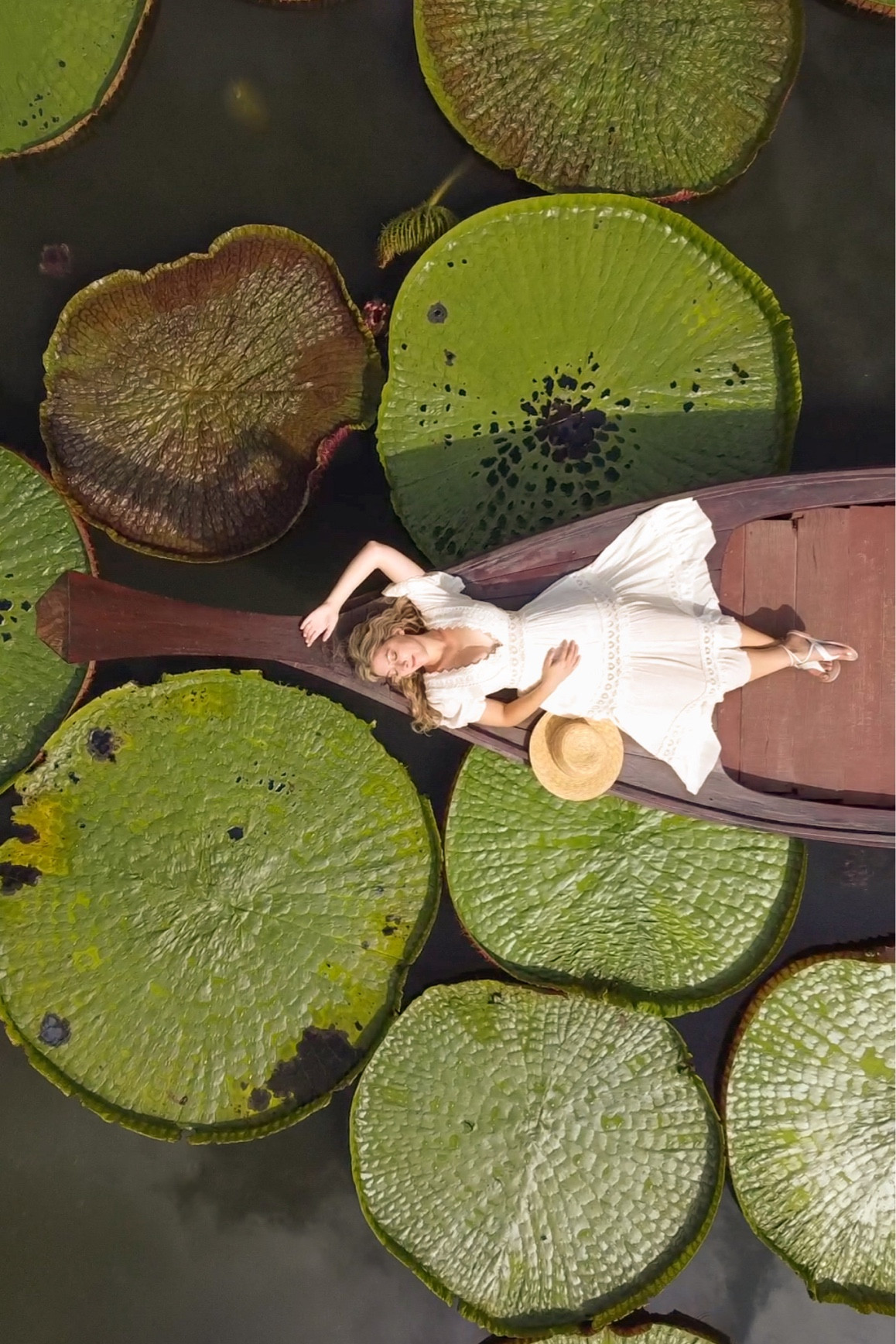 Long white dress with sleeves 

#LTKFind #LTKunder100 #LTKwedding