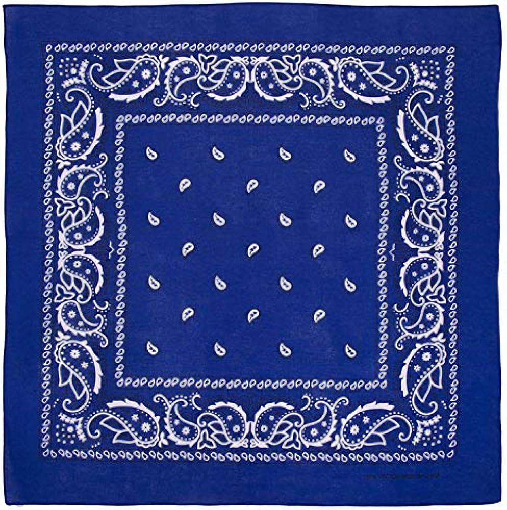 Large 100% Cotton Paisley Bandanas (22 inch x 22 inch) | Amazon (US)