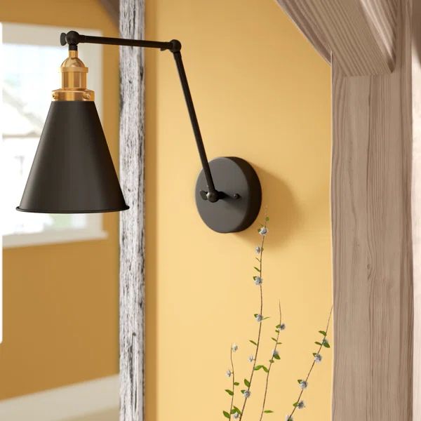 Alberto 1 - Light Matte Black Swing Arm | Wayfair North America