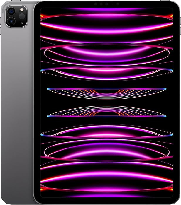 Apple iPad Pro (4th Generation, 11-inch, 2022), 256GB, Wi-Fi, Space Gray (Renewed) | Amazon (US)