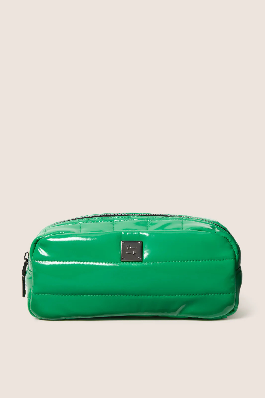 Touch-Up Carry All Pouch | Evereve