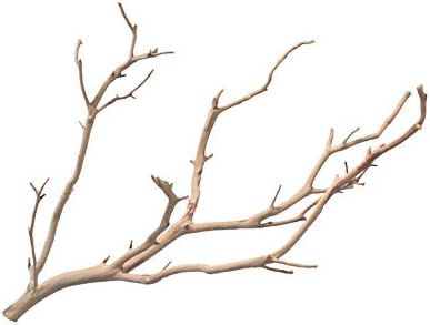 Kahee's Plants Manzanita Branches from Real Manzanita, Sandblasted 14" | Amazon (US)