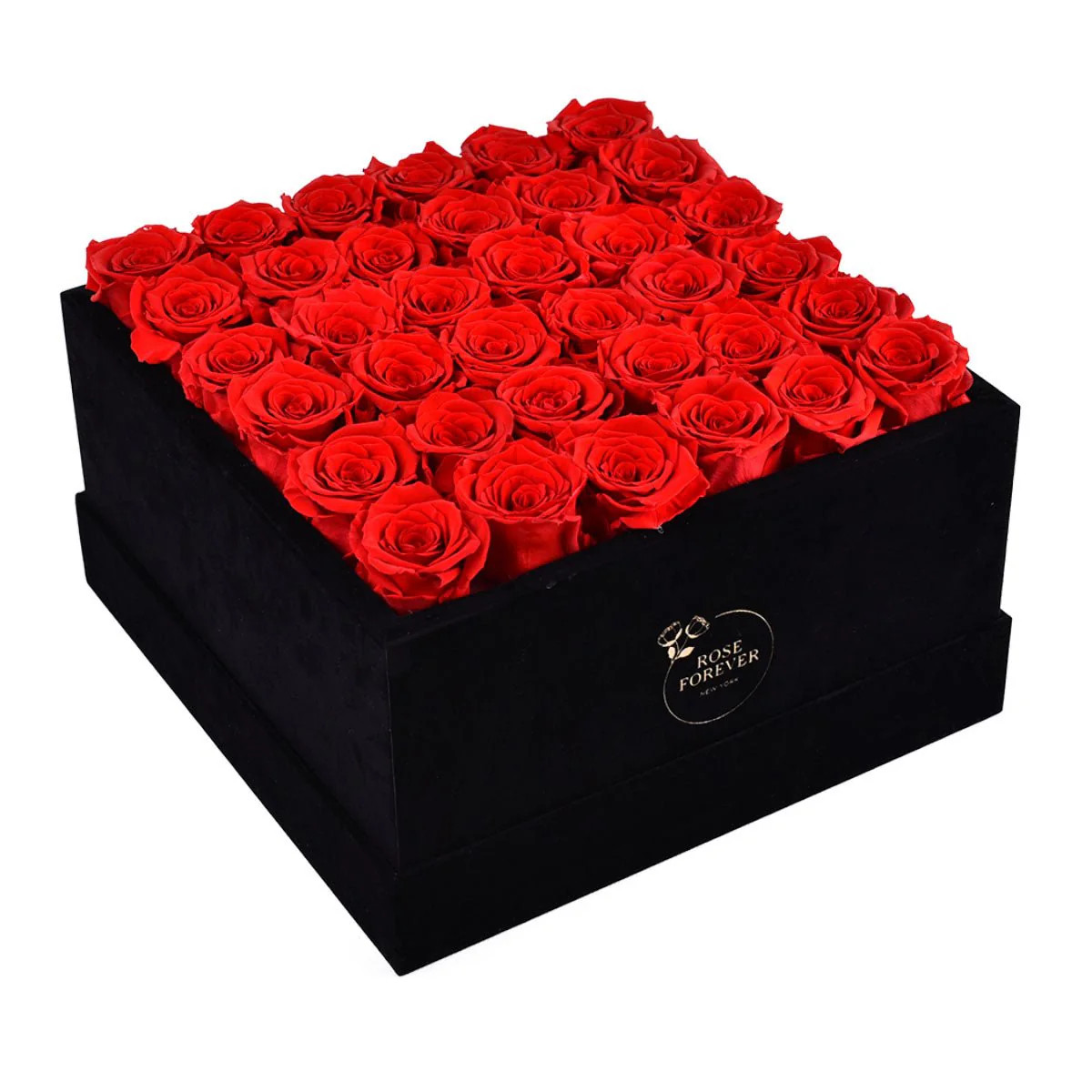 36 Red Roses - Black Square Velvet Box | Rose Forever 